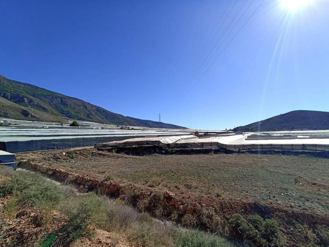 Terreno en venta en Berja, Almería photo 4