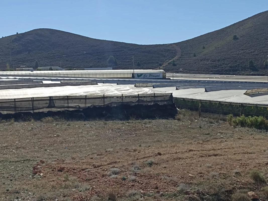 Terreno en venta en Berja, Almería photo 5