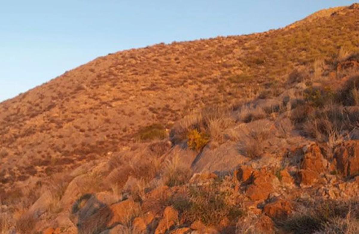 Terreno en venta en Berja, Almería photo 1