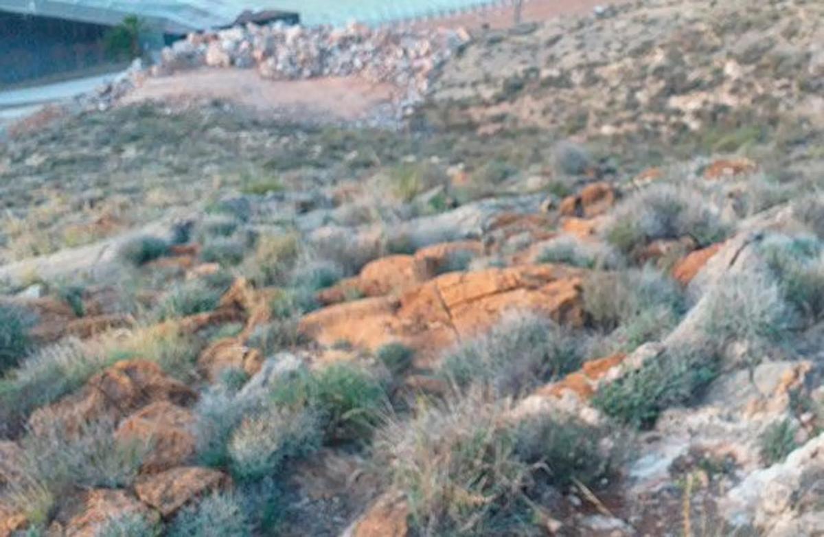 Terreno en venta en Berja, Almería photo 2