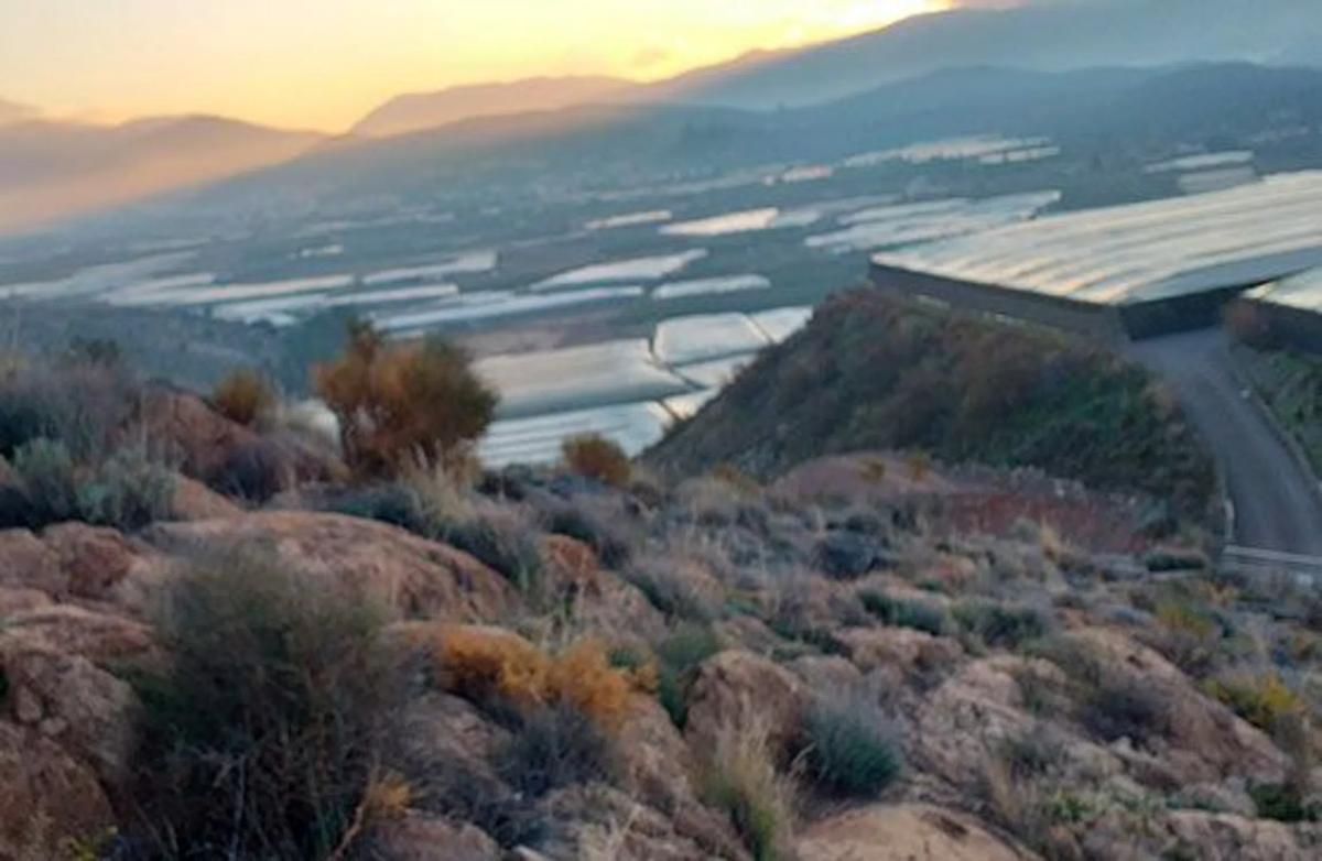 Terreno en venta en Berja, Almería photo 3