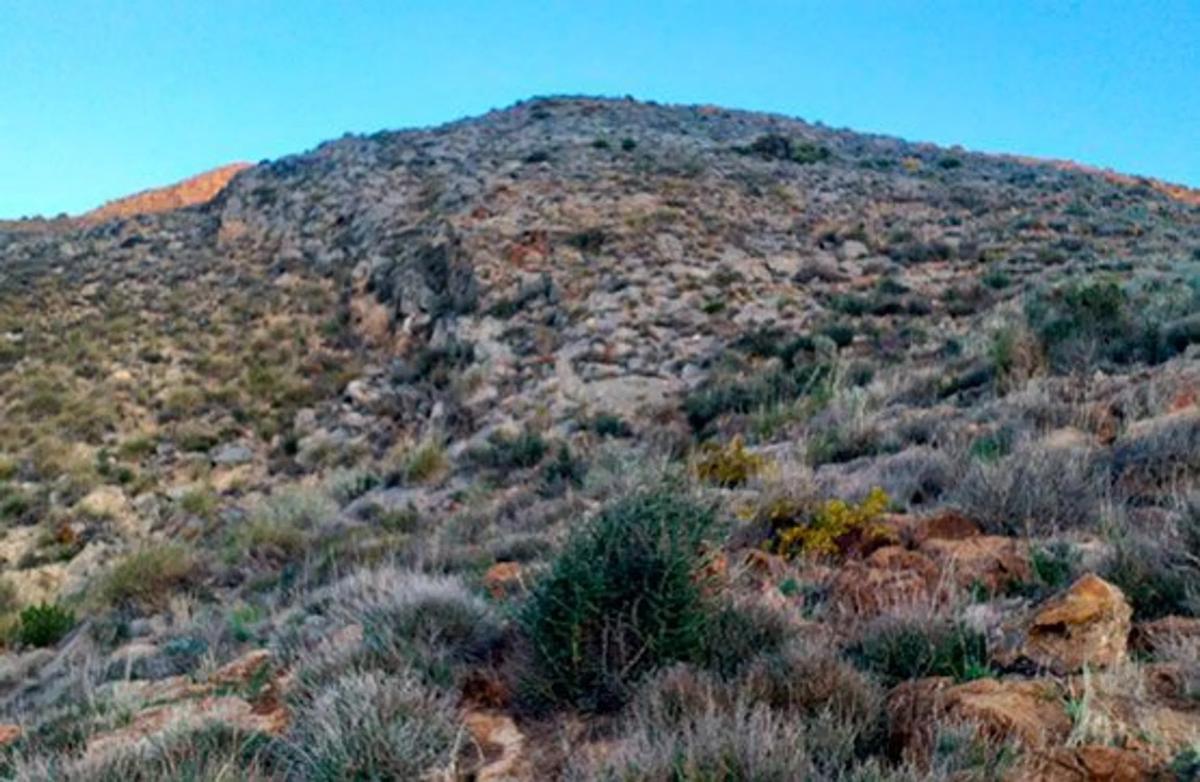 Terreno en venta en Berja, Almería photo 5