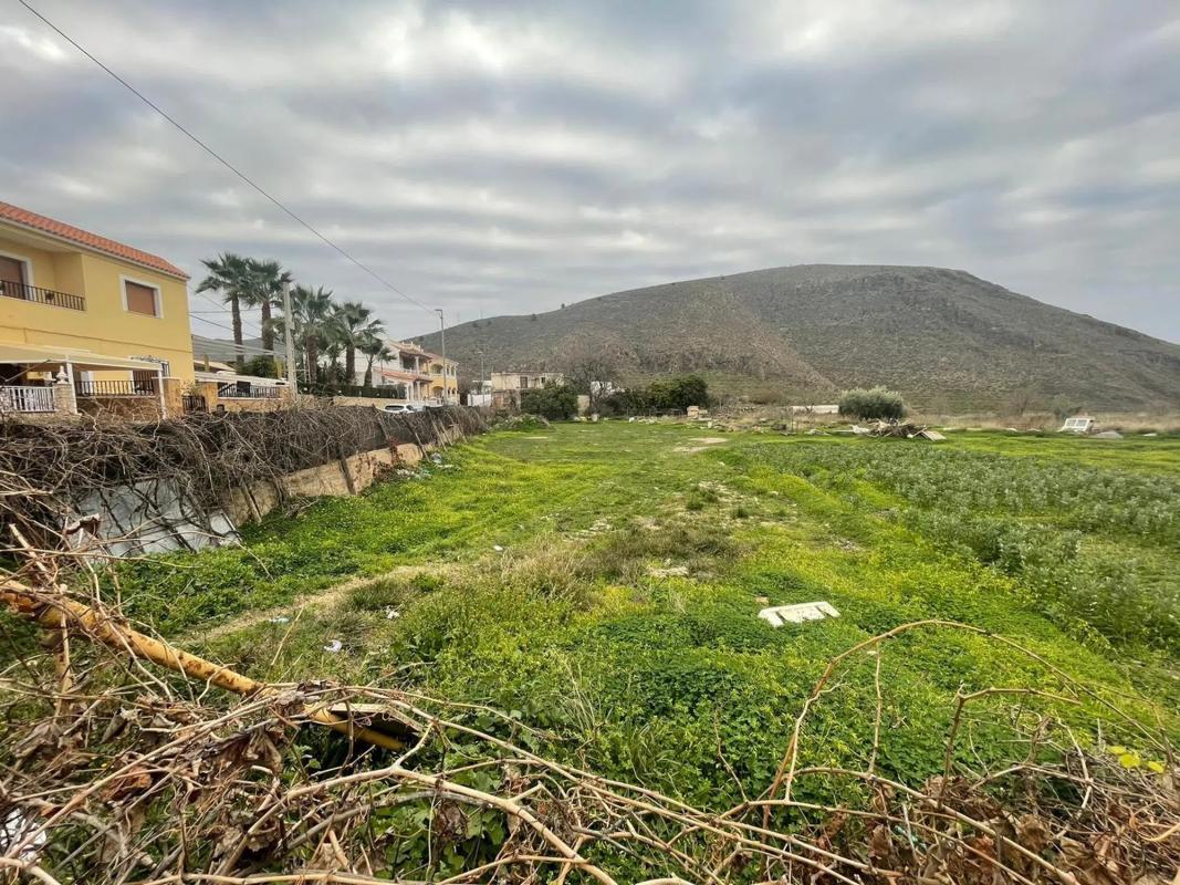 Terreno en venta en Berja, Almería photo 3