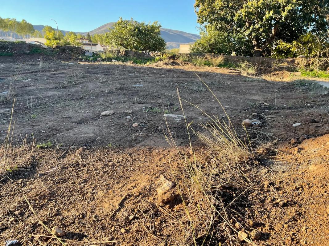 Terreno en venta en Berja, Almería photo 2