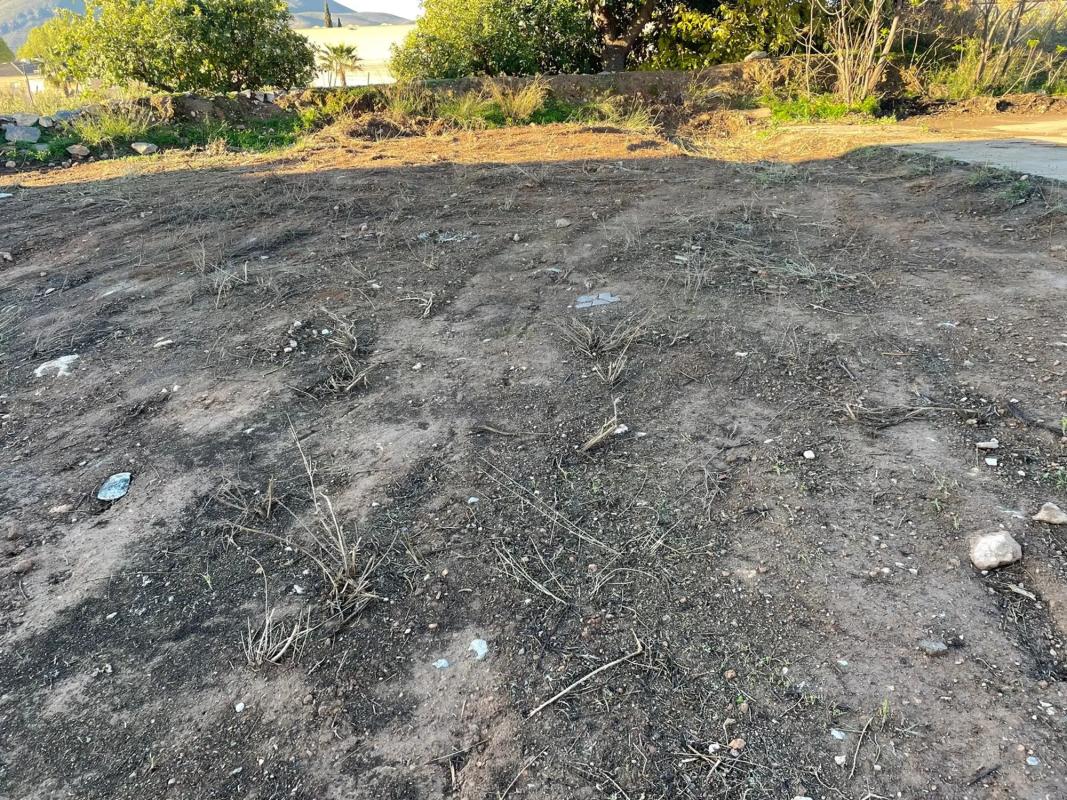 Terreno en venta en Berja, Almería photo 5