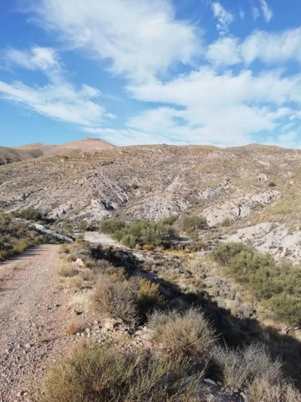 Terreno en venta en Berja, Almería photo 1