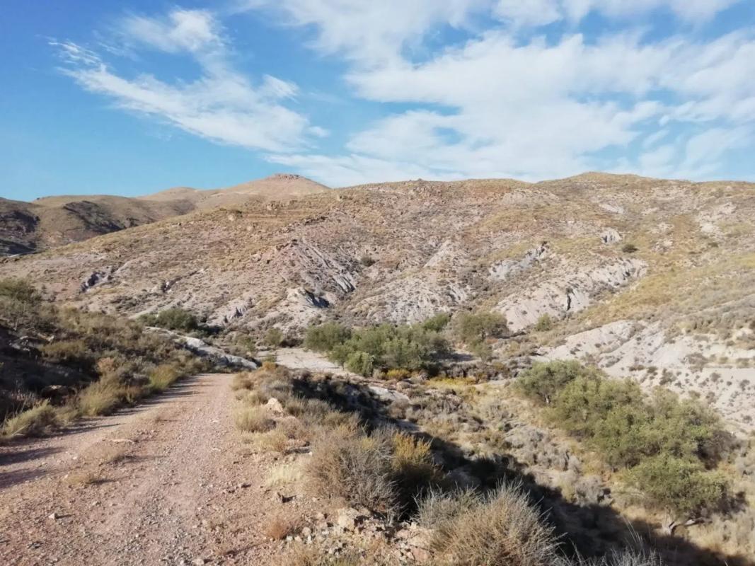 Terreno en venta en Berja, Almería photo 3