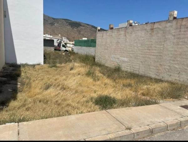 Terreno en calle Treinta de Julio, 39 photo 3