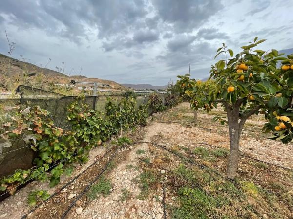 Terreno en avenida de las Alpujarras, 2 photo 1