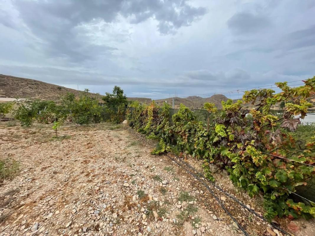 Terreno en venta en Dalias, Almería photo 3