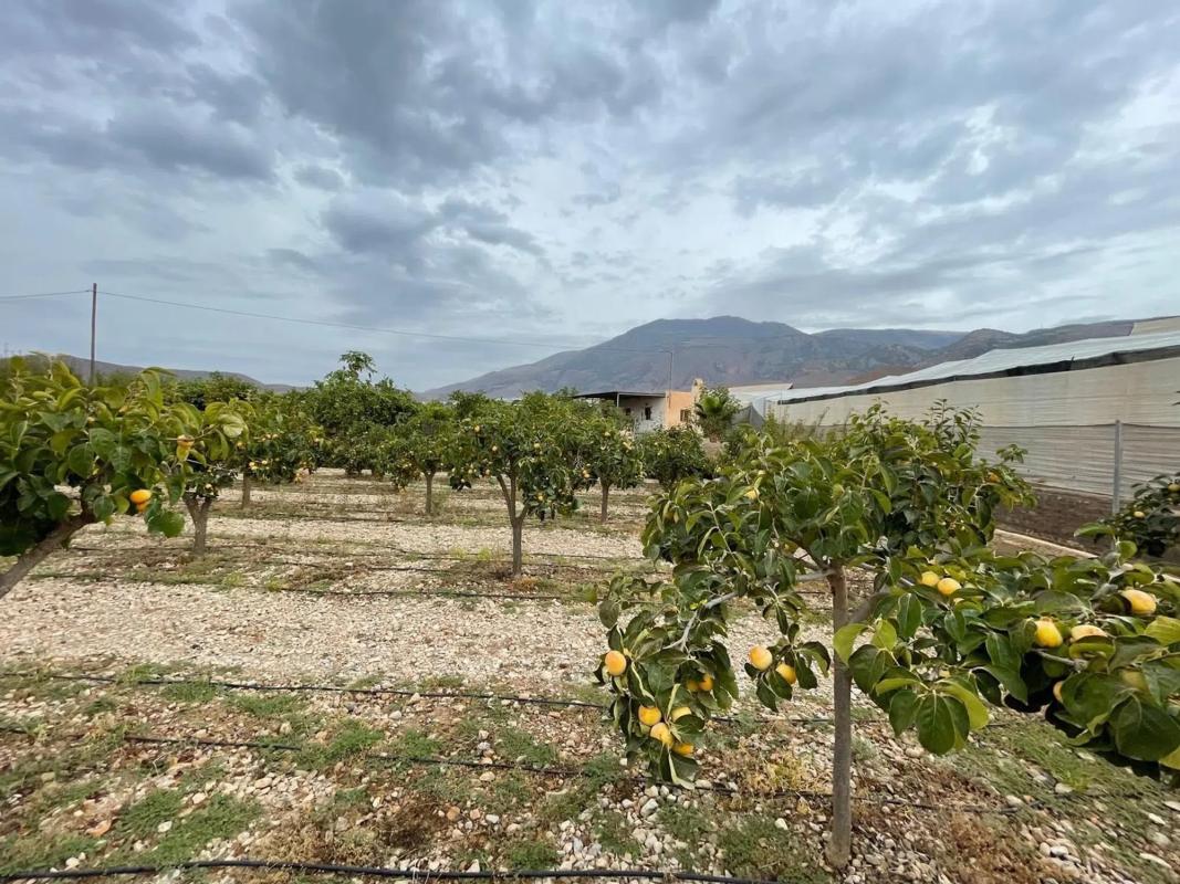 Terreno en venta en Dalias, Almería photo 4