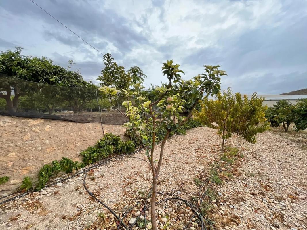 Terreno en venta en Dalias, Almería photo 5