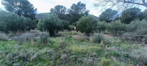 Terreno en carretera de Berja 04750, km 7 photo 1