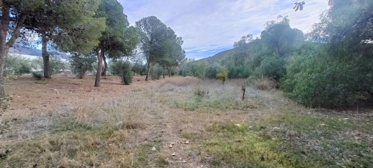 Terreno en venta en Dalias, Almería photo 2