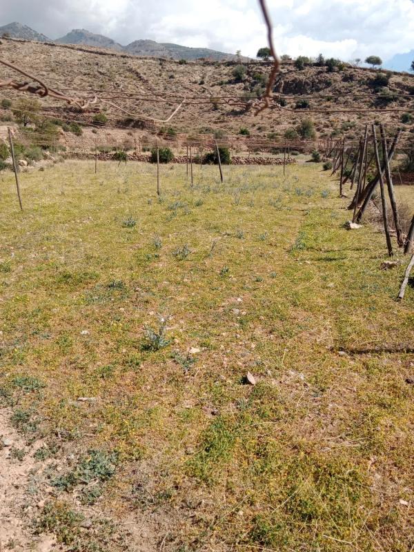 Terreno en venta en Dalias, Almería photo 2