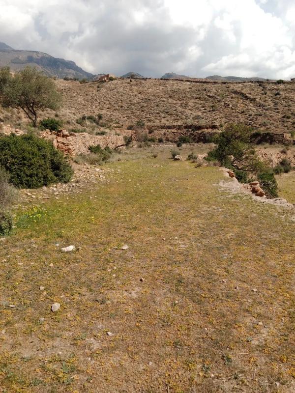 Terreno en venta en Dalias, Almería photo 3