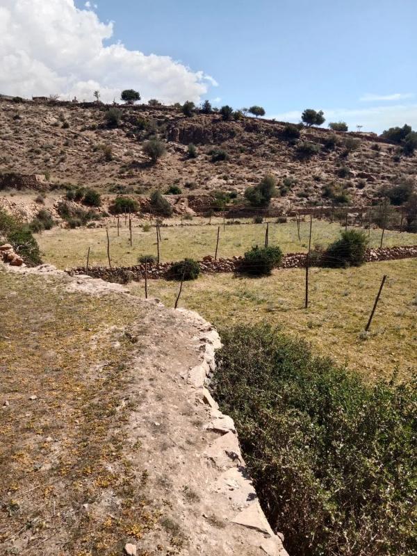 Terreno en venta en Dalias, Almería photo 4