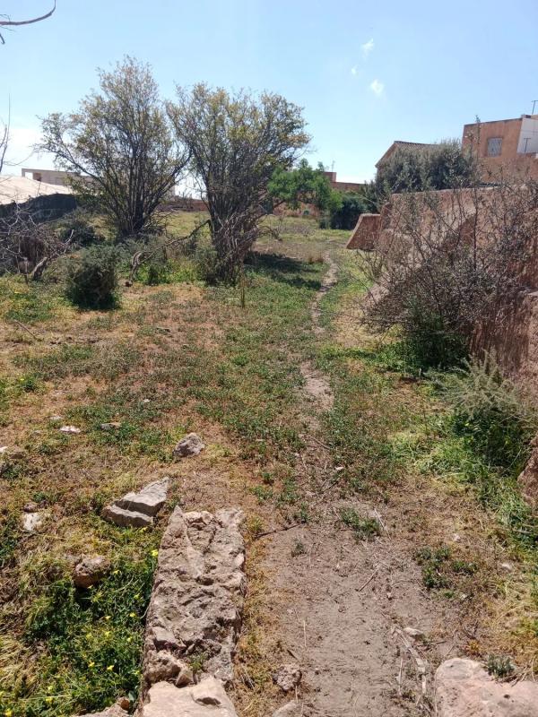 Terreno en venta en Dalias, Almería photo 5