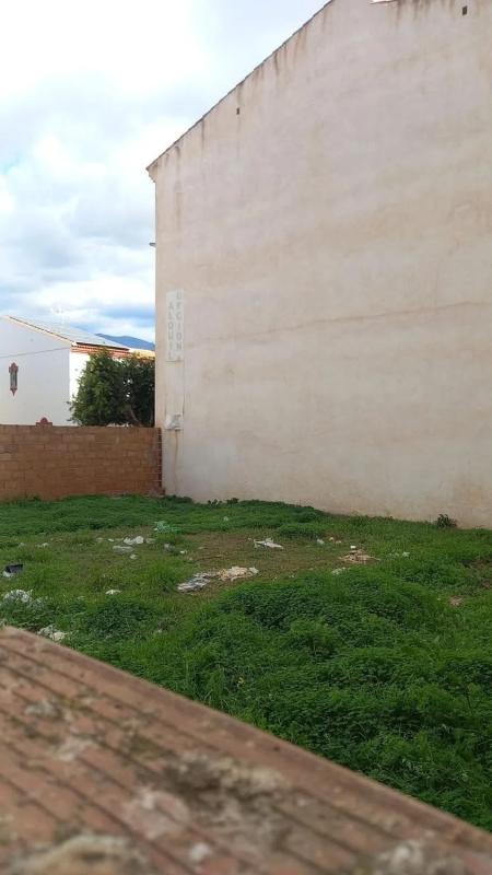 Terreno en venta en El Ejido, Almería photo 1