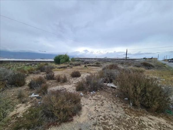 Terreno en Balerma photo 2