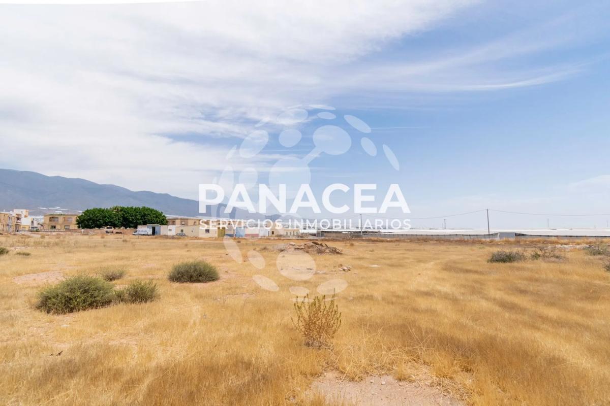 Land for sale in El Ejido, Almería photo 5
