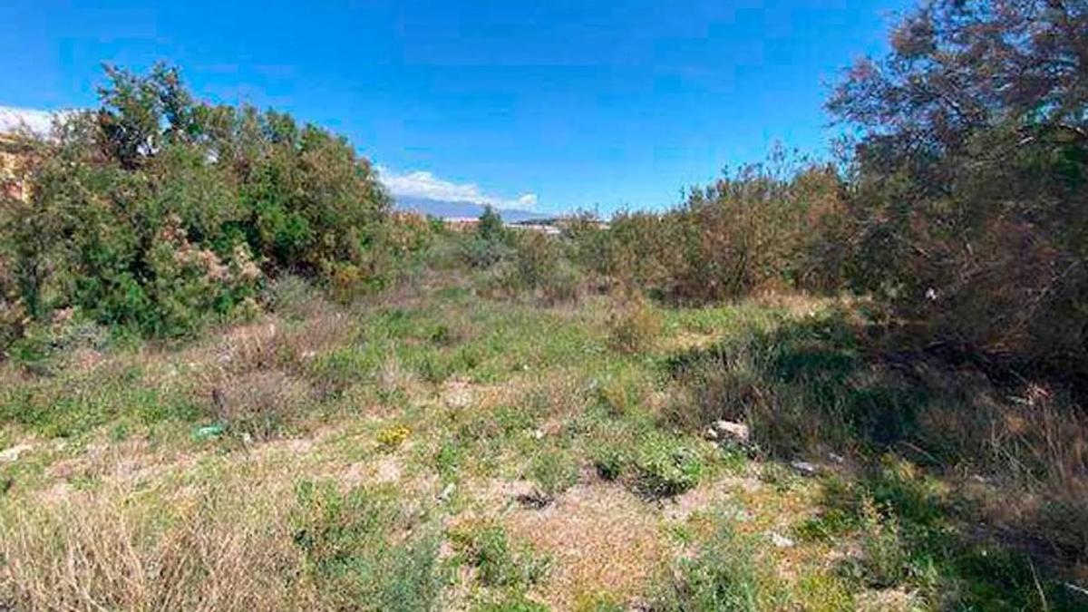 Terreno en venta en El Ejido, Almería photo 2