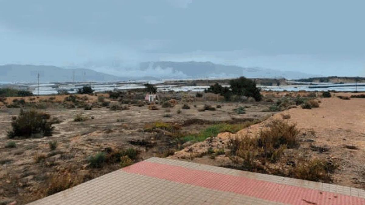 Terreno en venta en El Ejido, Almería photo 4