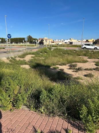 Terreno en calle Diego de Almagro s/n thumbnail 1