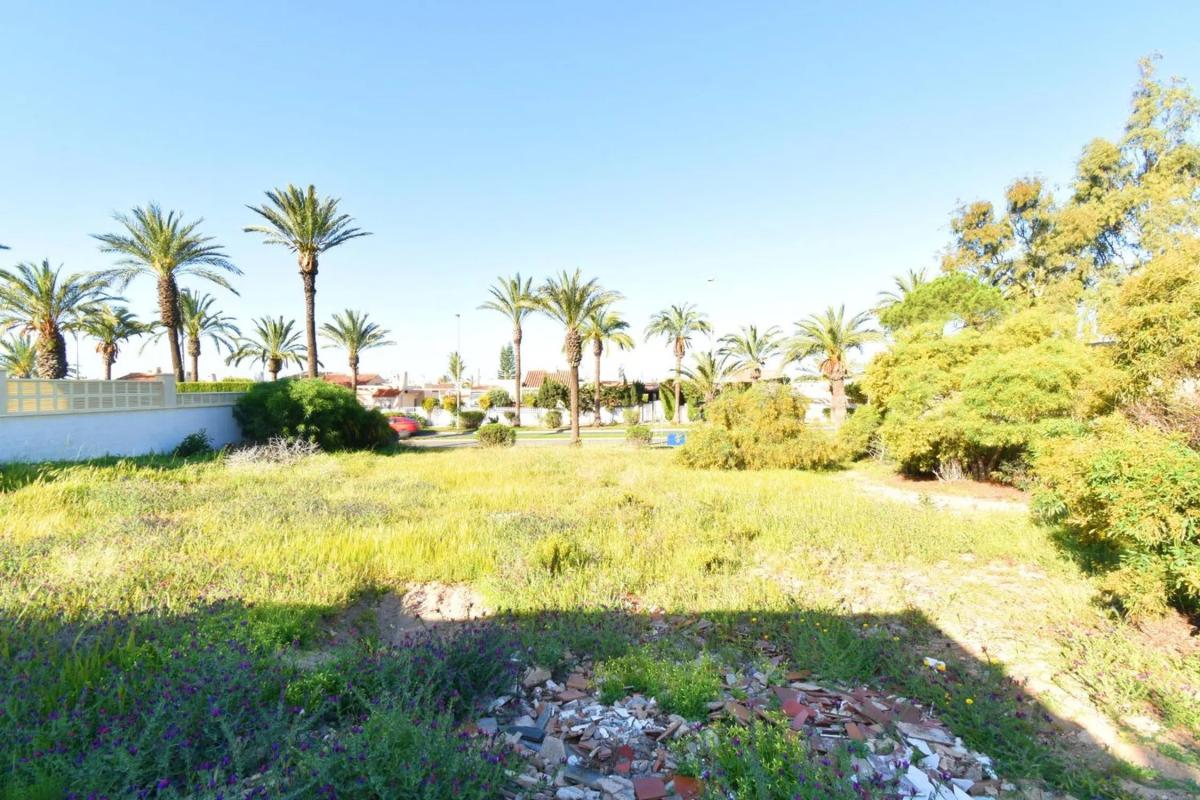 Terreno en venta en El Ejido, Almería photo 2
