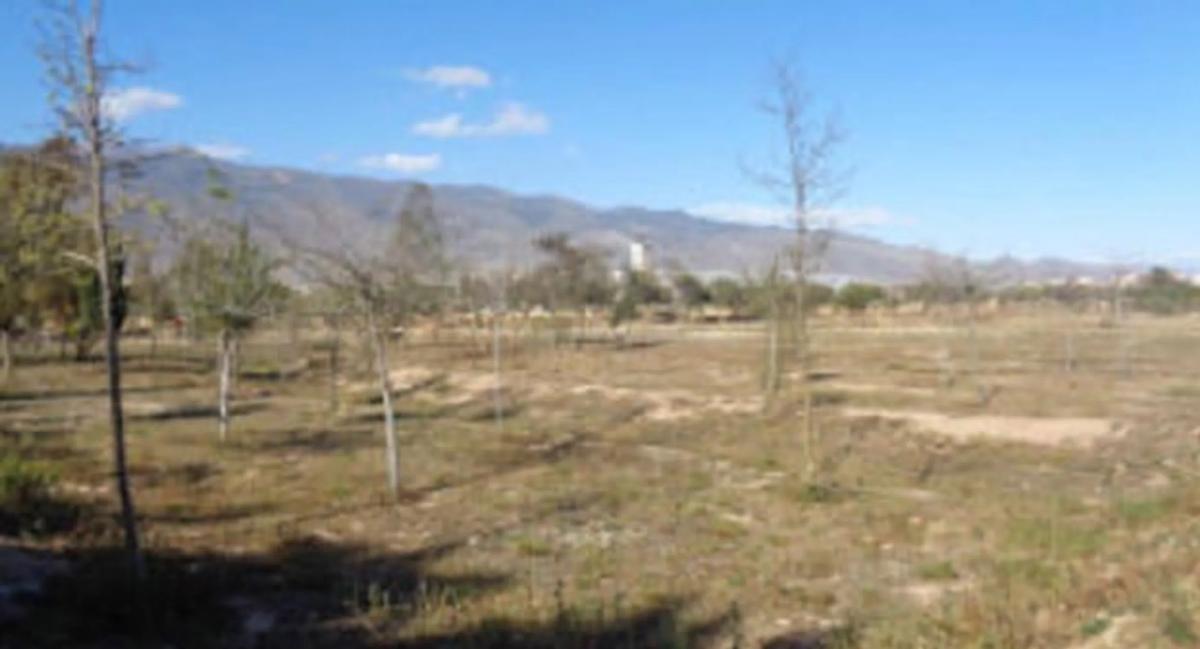 Terreno en venta en El Ejido, Almería photo 1