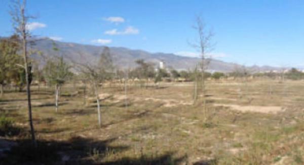 Terreno en Barrio Plaza de la Luz photo