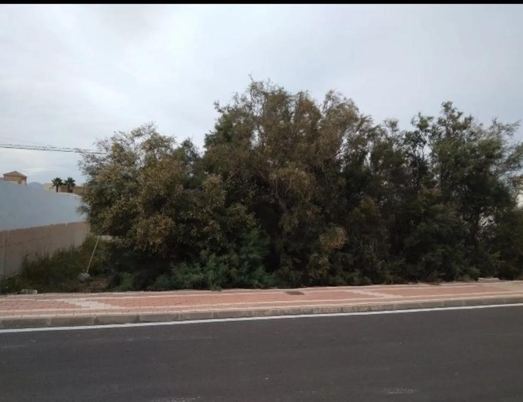 Terreno en venta en El Ejido, Almería photo 4