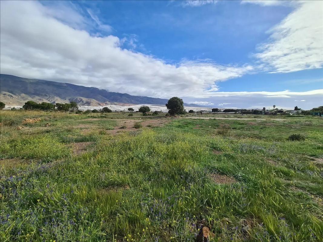 Terreno en venta en El Ejido, Almería photo 3