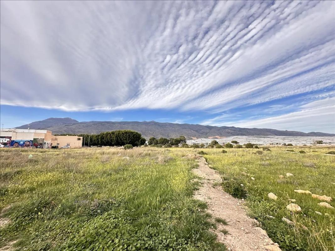 Terreno en venta en El Ejido, Almería photo 4