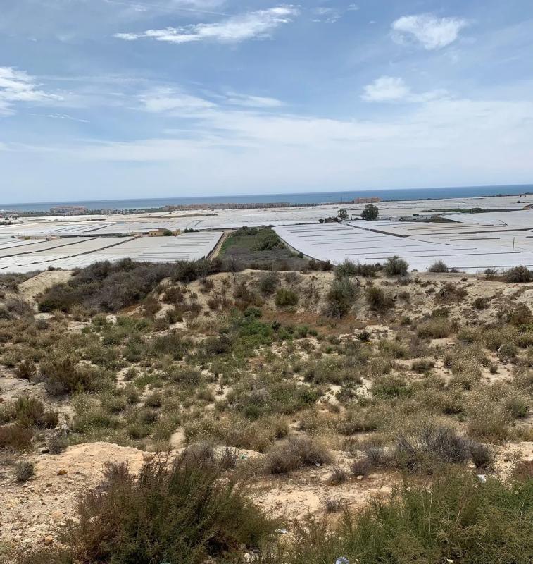 Terreno en venta en El Ejido, Almería photo 2