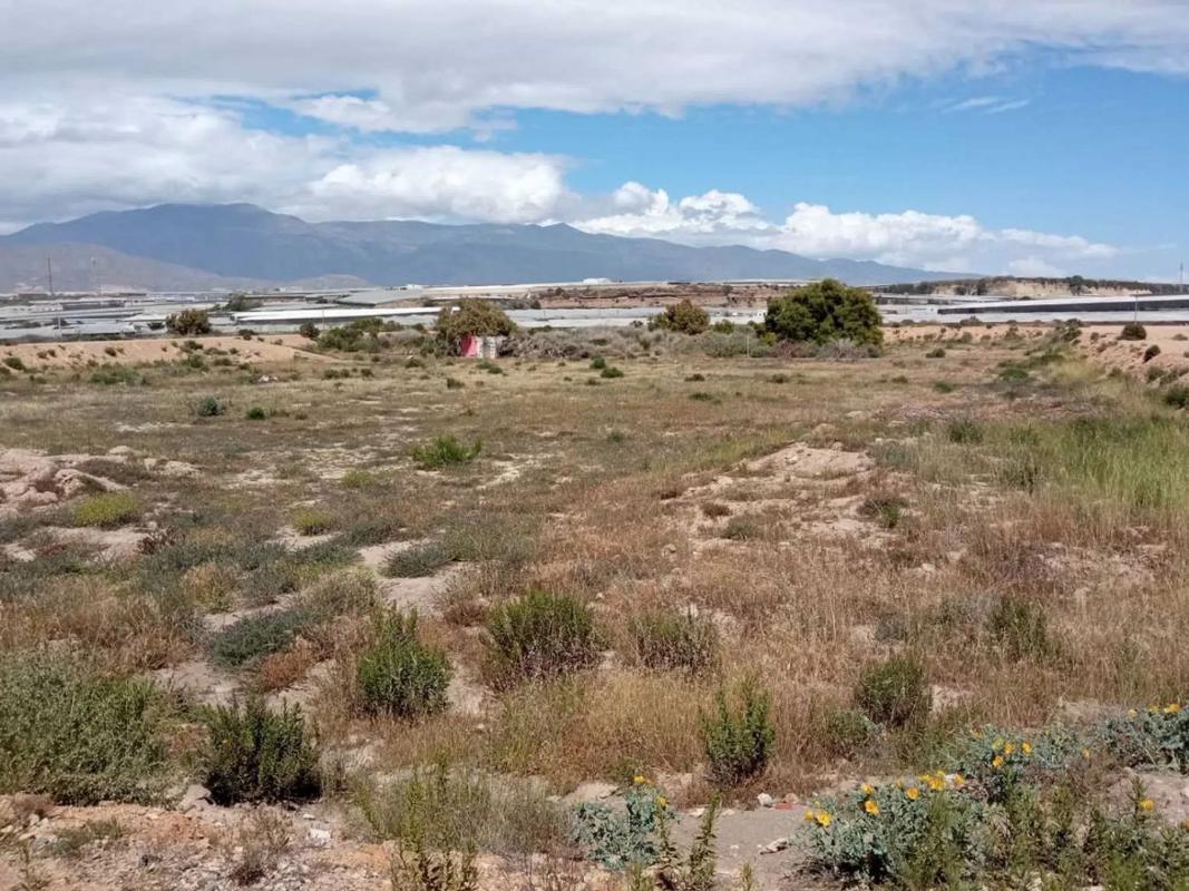 Terreno en venta en El Ejido, Almería photo 2
