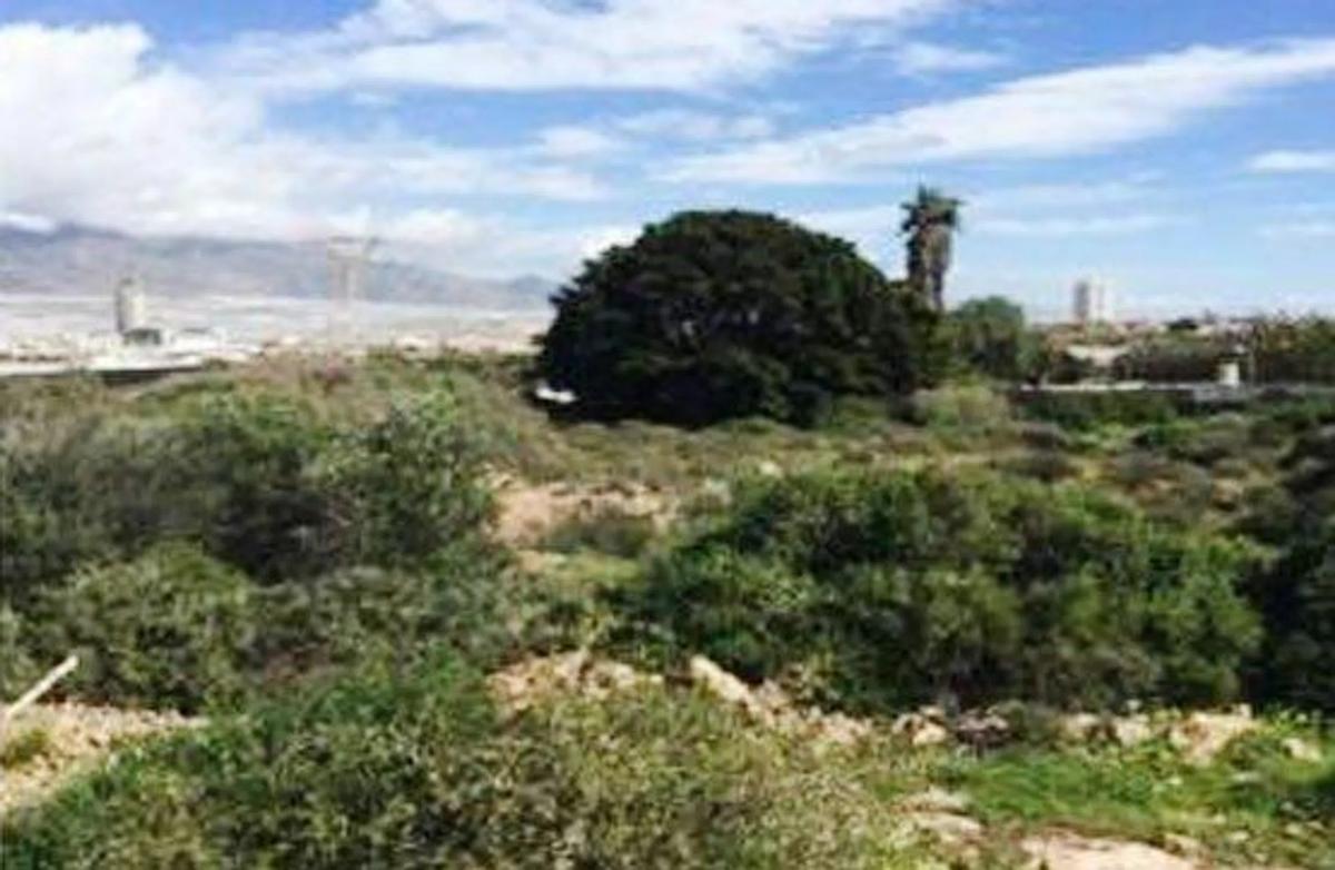 Terreno en venta en El Ejido, Almería photo 1
