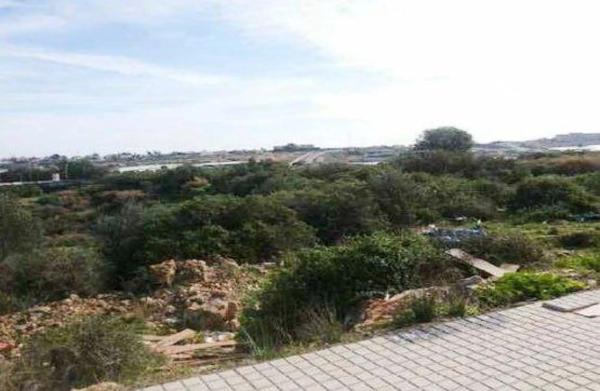 Terreno en Barrio Ejido sur photo 3
