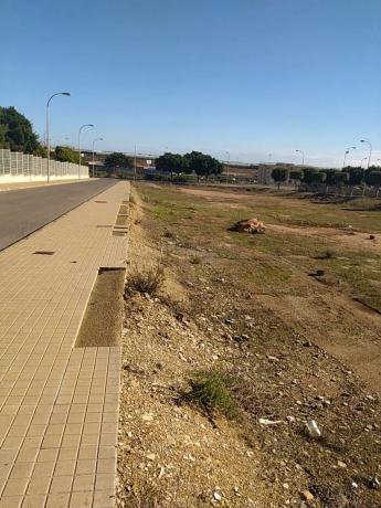 Terreno en calle Bach, 10 photo 3