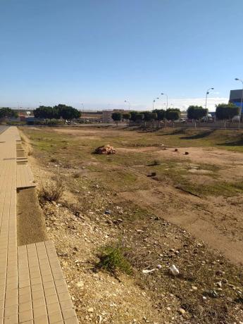 Terreno en calle Bach, 10 photo 4