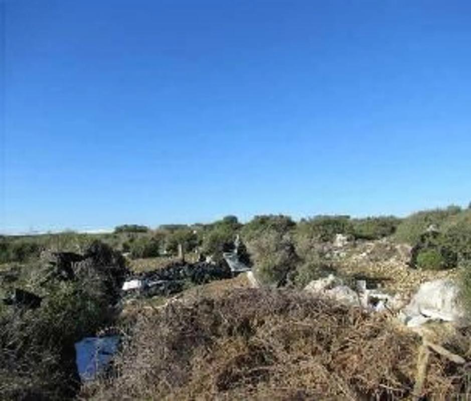 Terreno en venta en El Ejido, Almería photo 1