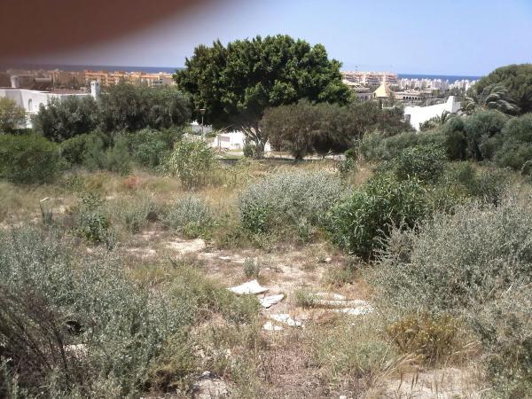 Terreno en calle Alcor, 40 photo
