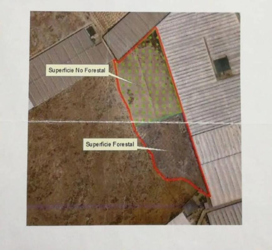 Terreno en venta en El Ejido, Almería photo 1