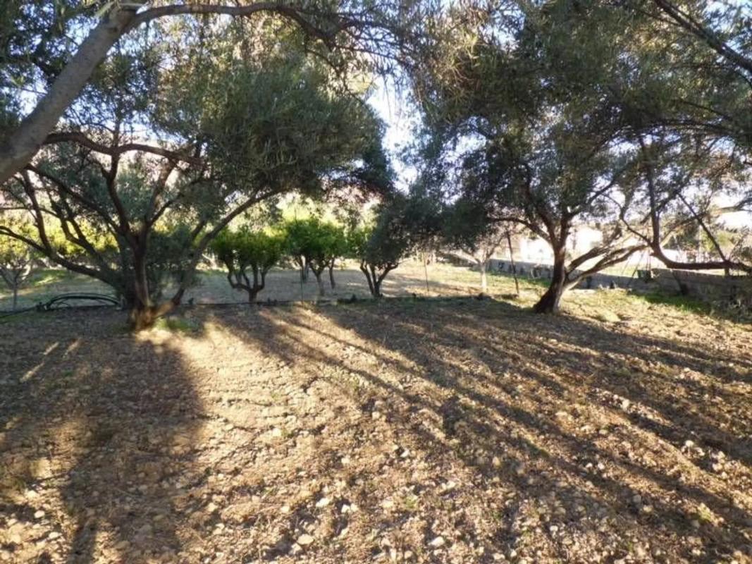 Terreno en venta en El Ejido, Almería photo 1