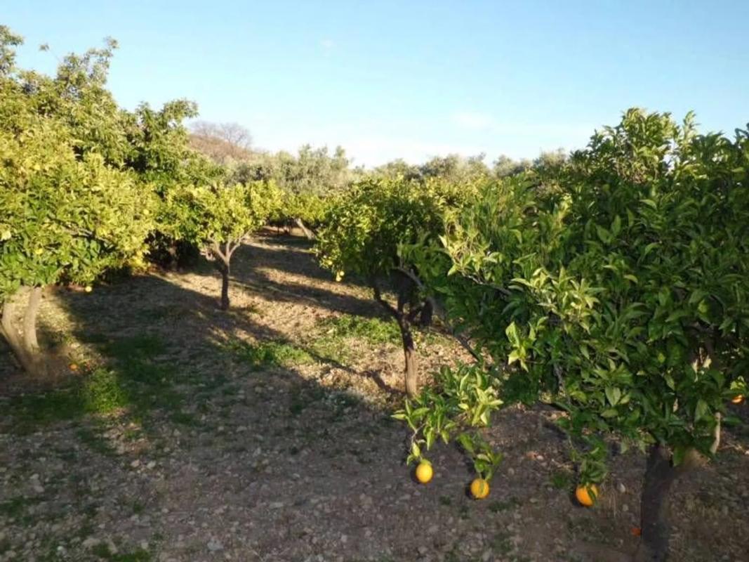 Terreno en venta en El Ejido, Almería photo 3