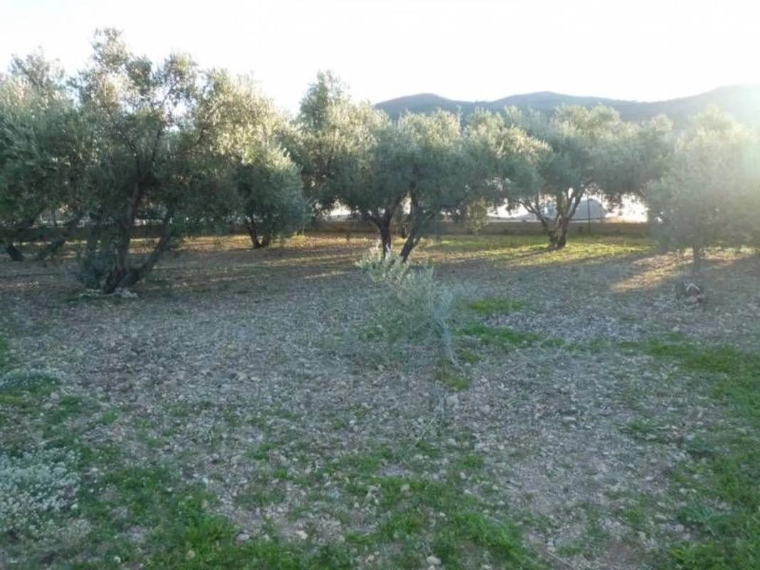 Terreno en venta en El Ejido, Almería photo 4