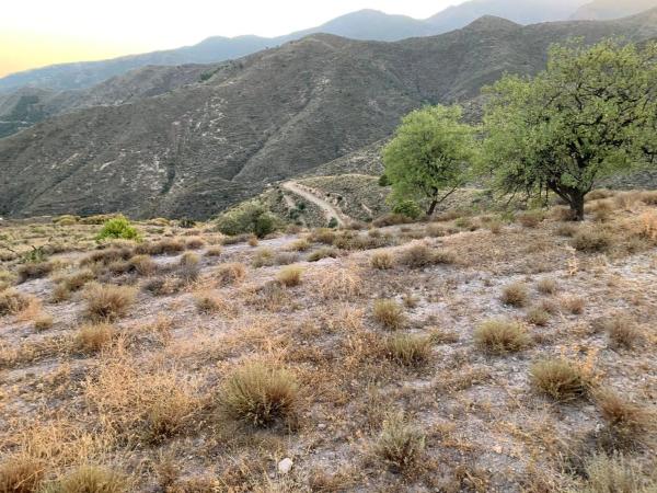 Terreno en Fontichuela s/n photo 1