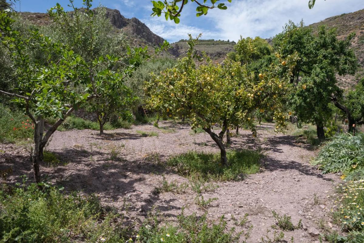 Участок земли на продажу в Эникс, Алмерия photo 5