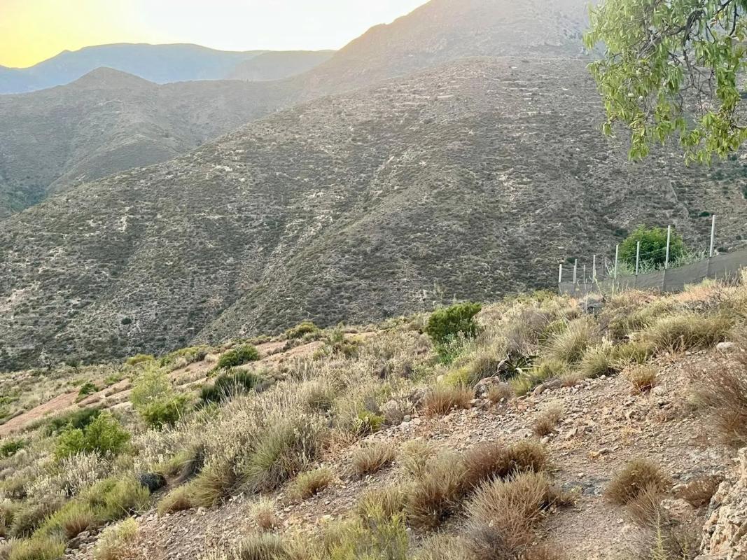 Terreno en venta en Felix, Almería photo 3