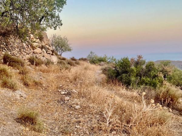 Terreno en Fontichuela s/n photo 4